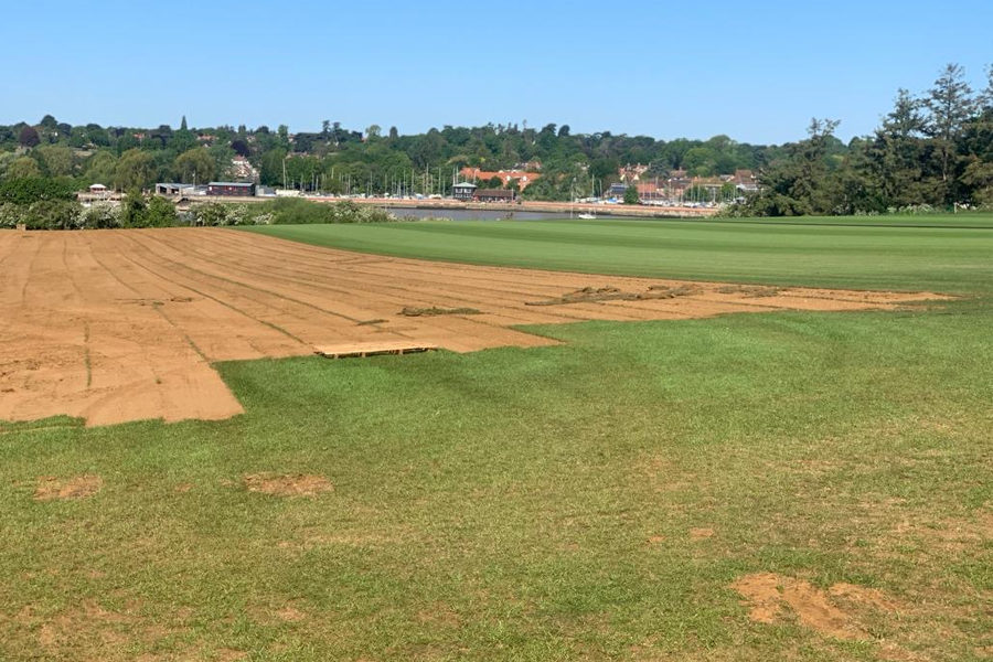 finished-lawn